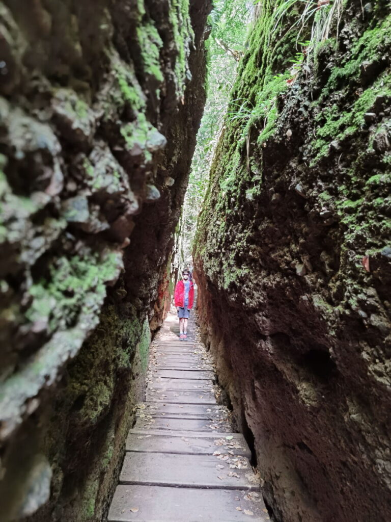 Drachenschlucht Winterwandern in Deutschland