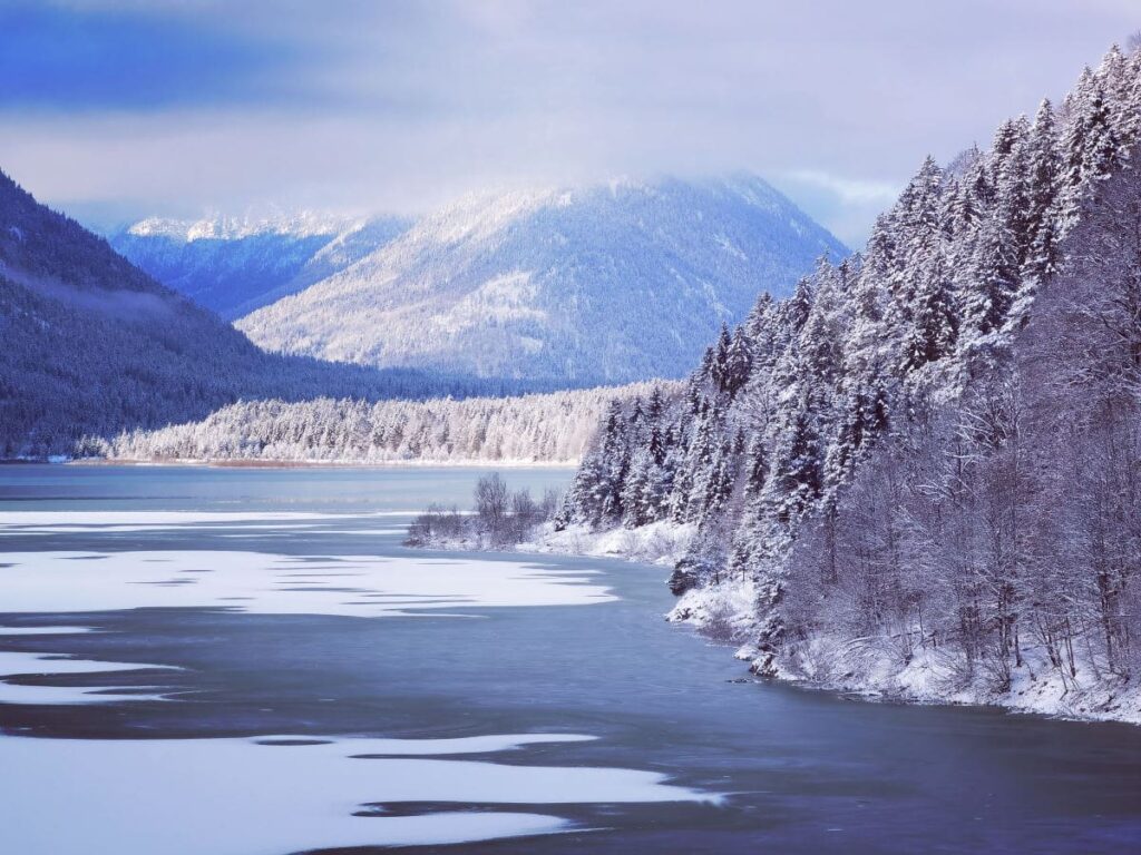 Beim Winterwandern tauchst du in eine magische Landschaft ein - wir zeigen dir, wo das besonders gut geht!