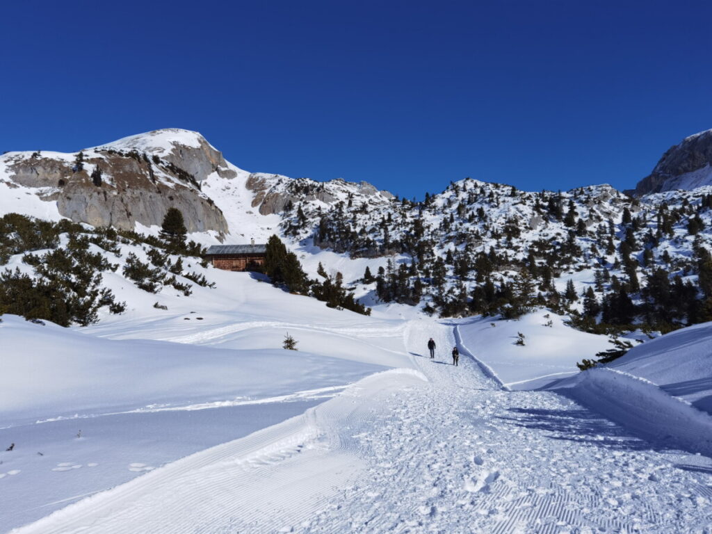 Sonnig und schneesicher Winterwandern in den Bergen - danach auf einen Kaiserschmarrn in einer urigen Hütte einkehren